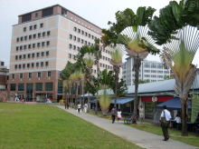 Blk 513 Tampines Central 1 (S)520513 #105352
